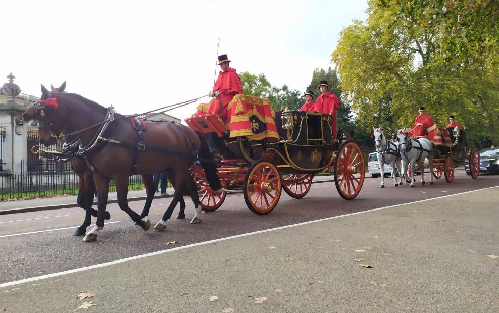 guardia real palacio de buckingham