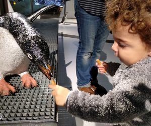 Mejores cosas que hacer en Barcelona con niños 2024
