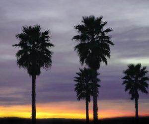 Escapada romántica Murcia – Cómo planificar escapada fin de semana romántico