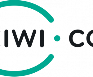 ¿Kiwi.com es confiable? Cuándo utilizarlo para reservar viajes 2024