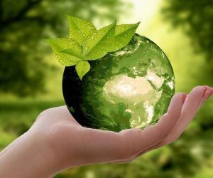 Viajes de Ecoturismo en España 2024 – Todo lo que necesitas saber