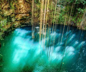 🥇 Los 5 Mejores Cenotes de la Riviera Maya