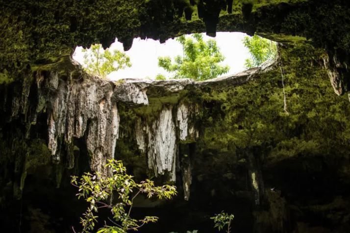 🥇 Los 5 Mejores Cenotes de la Riviera Maya 3 que es un cenote
