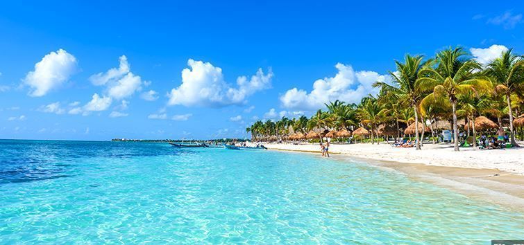 nado con delfines en playa del carmen