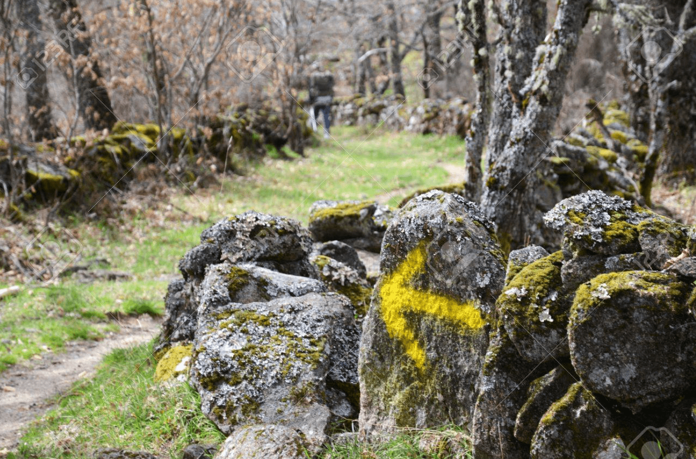 Camino Francés desde Sarria