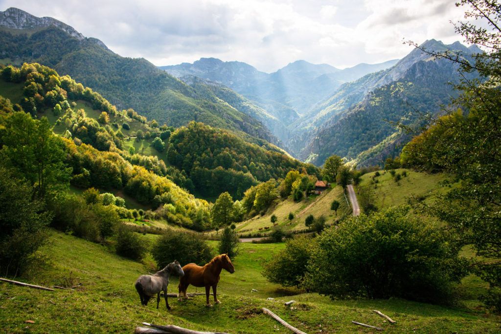 Hoteles con spa - Relax y aventuras en Asturias 5 Bienestar y Aventuras en Asturias