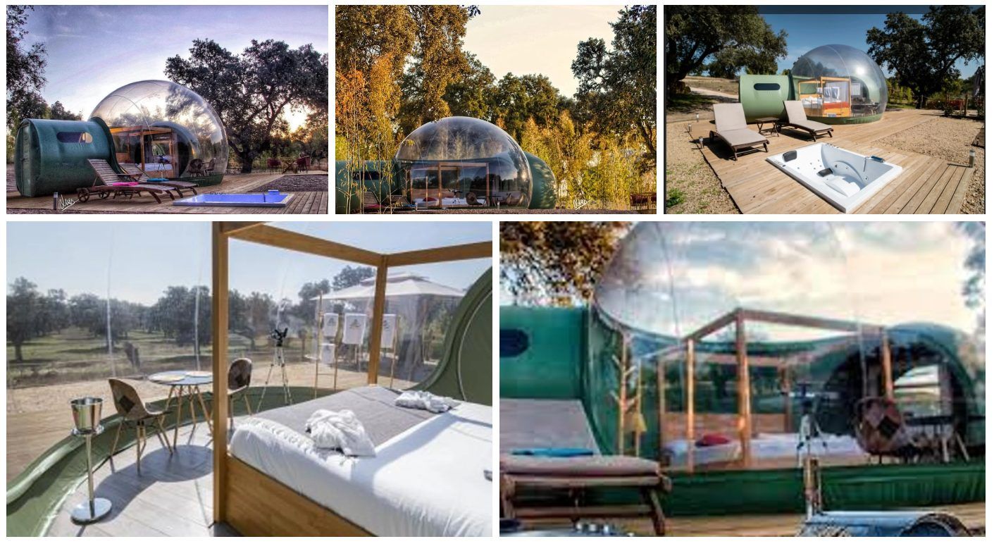 Turismo en la Naturaleza: Cómo Planificar la Escapada Perfecta 8 Sky Bubble- El Toril Glamping Experience