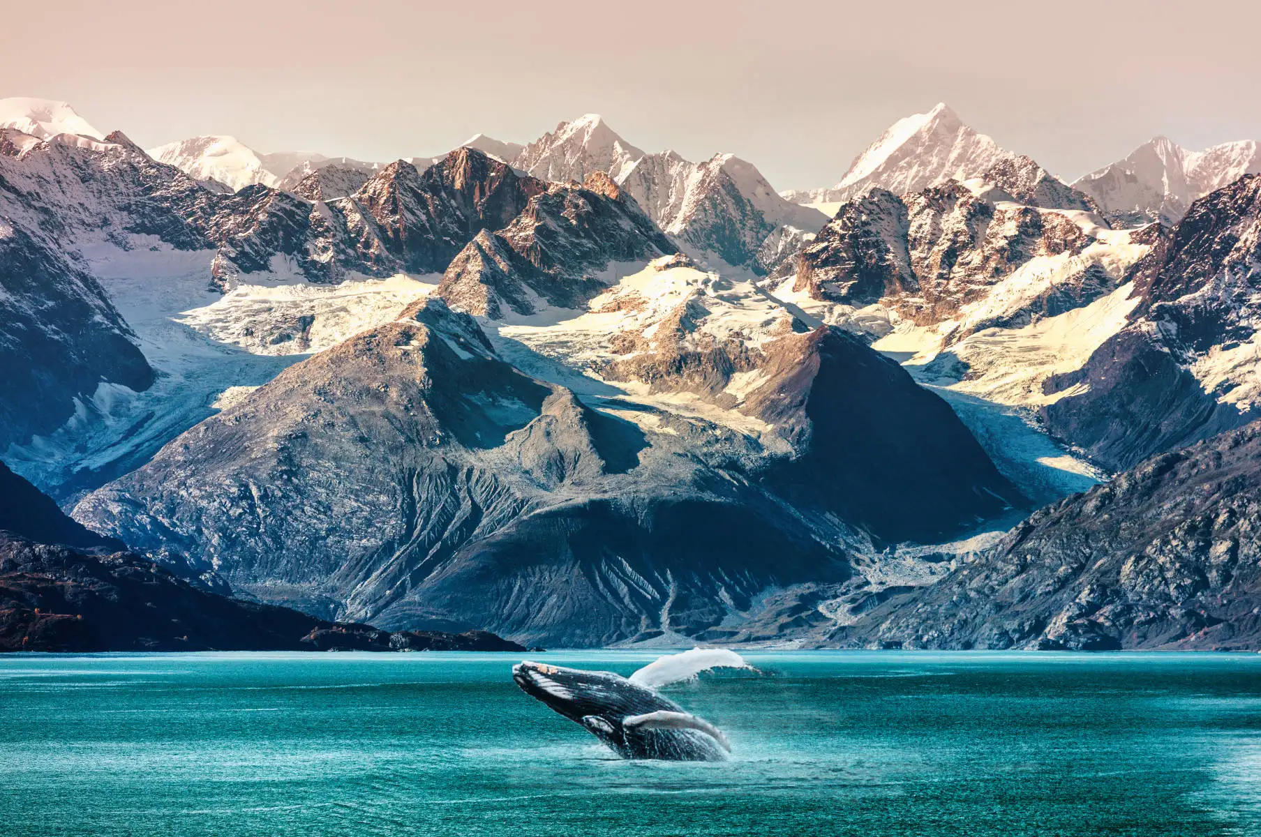 Unconventional Accommodation Options in Alaska to Spice Up Your Stay 3 ballena alaska portada