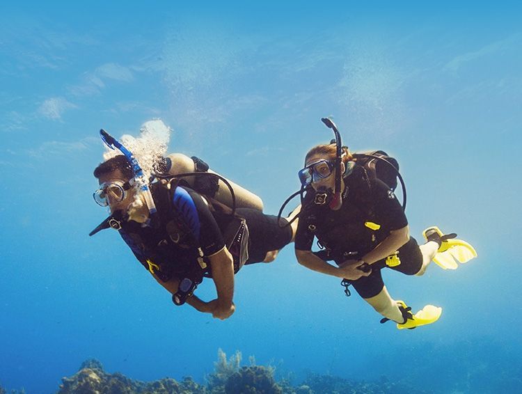 Explora Riviera Maya: Aventura, Naturaleza y Deportes Acuáticos 5 Buceo en la Riviera Maya Explora un Mundo Submarino Fascinante