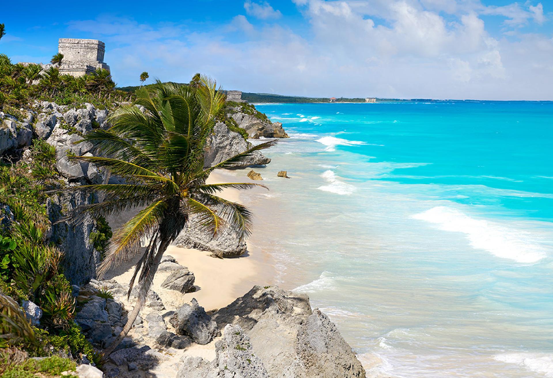 Descubre el Encanto del Caribe Mexicano: Tu Próxima Aventura en Catamarán hacia Isla Mujeres 5 Descubre la Belleza Submarina de Cancún