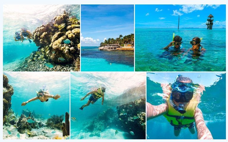Descubre la Magia de Isla Mujeres: Un Paraíso de Aventura y Tradición 3 Sumérgete en un Mundo Subacuático con el Tour de Snorkel en Isla Mujeres