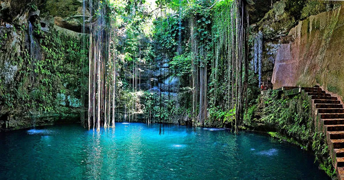 Explora Riviera Maya: Aventura, Naturaleza y Deportes Acuáticos 7 Ecoturismo en la Riviera Maya: Conéctate con la Naturaleza