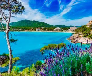 Descubre la Primavera Mallorquina: Paisajes Florecidos y Tradiciones