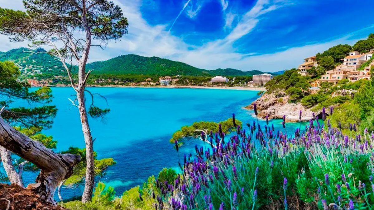 Descubre la Primavera Mallorquina: Paisajes Florecidos y Tradiciones 2 Descubre la Primavera Mallorquina Paisajes Florecidos y Tradiciones