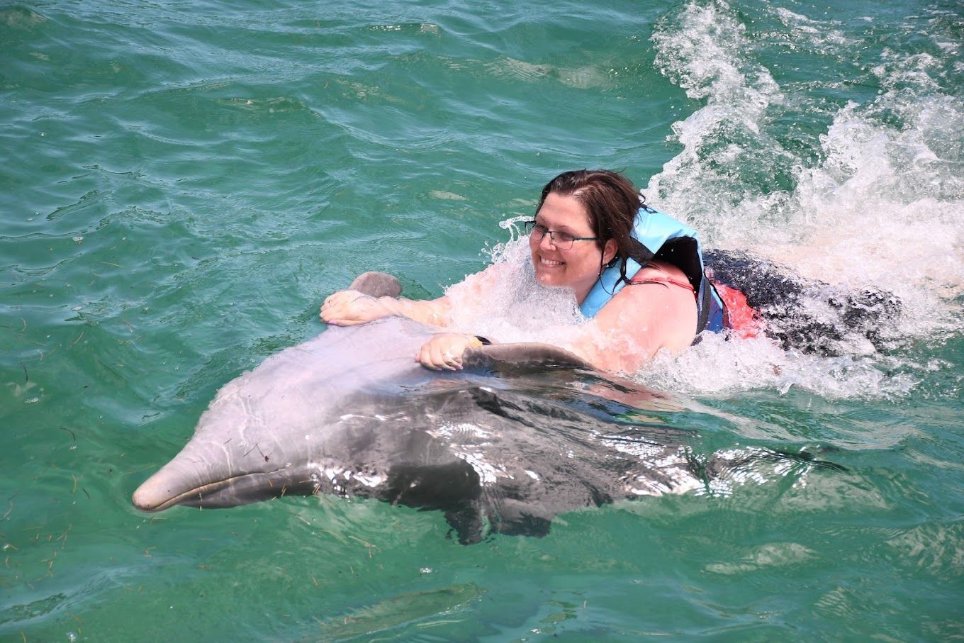Explora los Tesoros Submarinos con las Mejores 4 actividades en Punta Cana 6 Swim with dolphins in punta cana 1