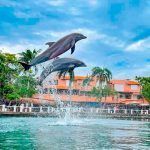 Actividades en la Riviera Maya Actividades en la Riviera Maya
