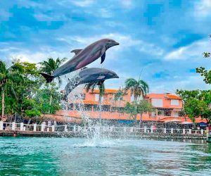 Actividades en la Riviera Maya