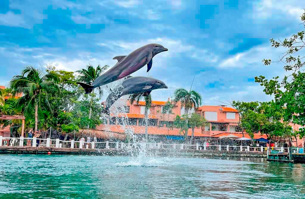 Actividades en la Riviera Maya 2 Actividades en la Riviera Maya