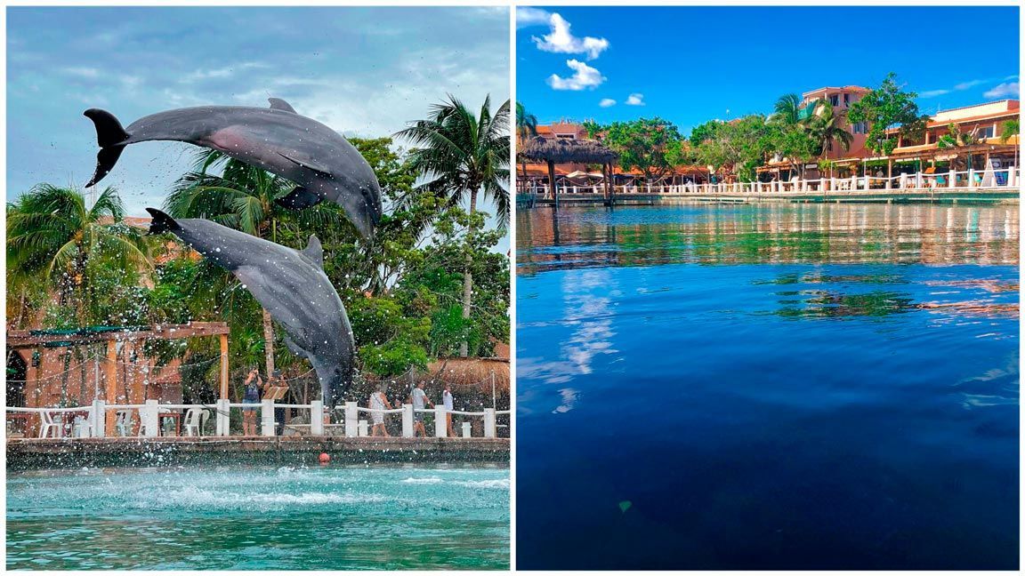 Actividades en la Riviera Maya 3 Dolphin Discovery Puerto Aventuras