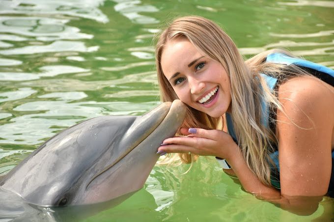 Actividades en la Riviera Maya 4 Programas de Nado con Delfines