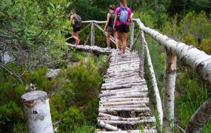 Descubre las Joyas de Castilla y León a través del Turismo Rural y Slow Tourism 4 Rutas y Senderos Naturales