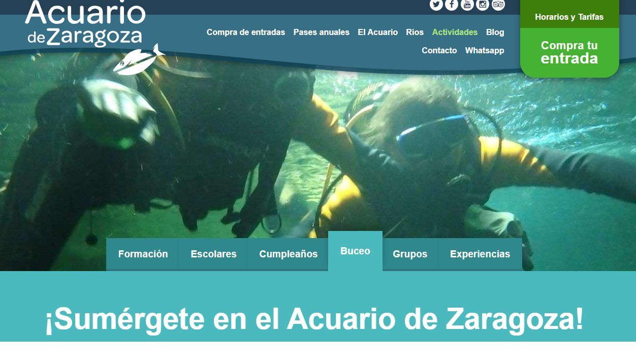 Descubre los Mejores Deportes Acuáticos en Zaragoza: Una Aventura Inolvidable 4 Buceo en el Acuario de Zaragoza Una Experiencia Única