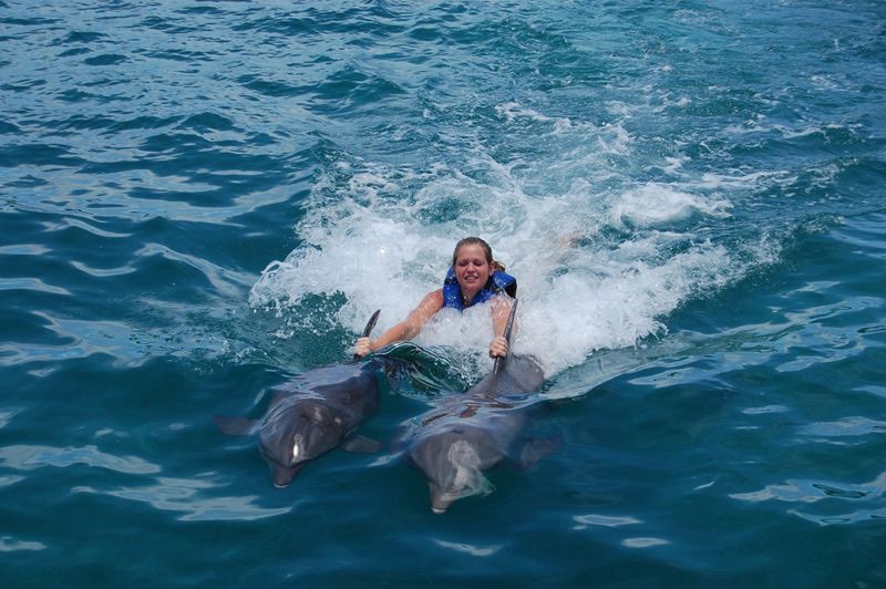 Explora Isla Mujeres: Aventuras con Delfines y Más 4 Actividades principales en Dolphin Discovery Isla Mujeres