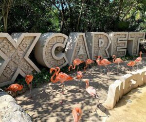 Descubre el Parque Xcaret en Riviera Maya