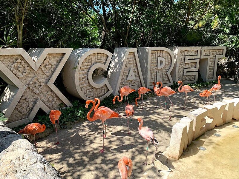 Descubre el Parque Xcaret en Riviera Maya 2 Descubre el Parque Xcaret en Riviera Maya