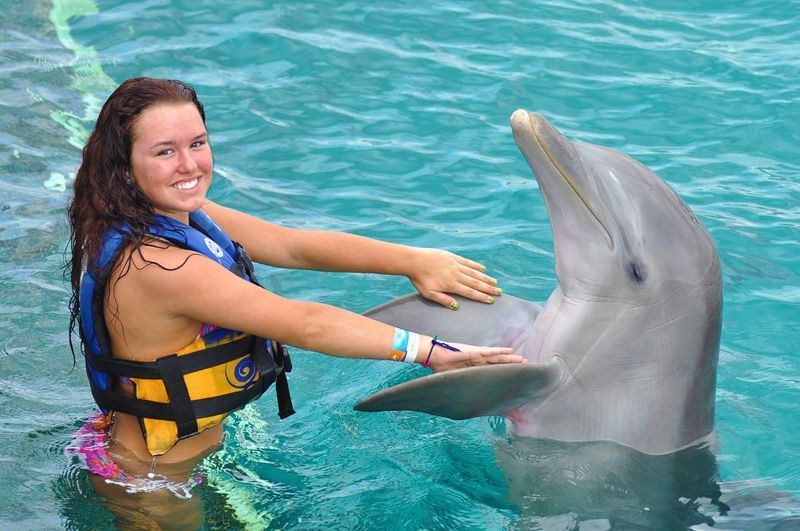 Explora Isla Mujeres: Aventuras con Delfines y Más 3 Nado con delfines La atracción estrella