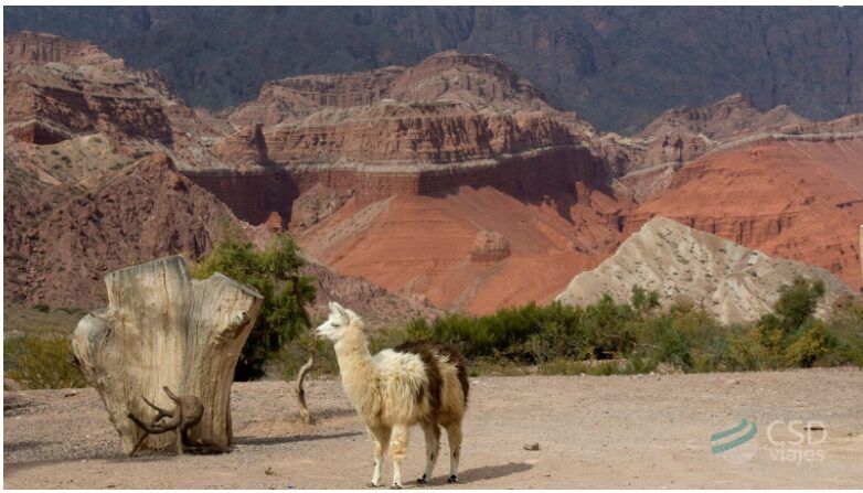 Sudamérica salvaje: los caminos más impactantes de Perú y Argentina 2 Sudamerica Salvaje Peru y Argentina