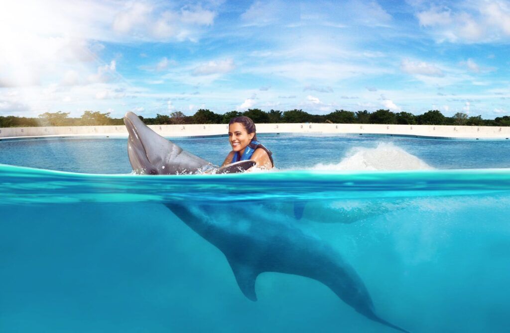 ¿Dónde Nadar con Delfines en Punta Cana? Downtown es tu Mejor Opción 2 ¿Dónde Nadar con Delfines en Punta Cana Downtown es tu Mejor Opción