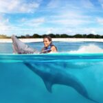 ¿Dónde Nadar con Delfines en Punta Cana? Downtown es tu Mejor Opción ¿Dónde Nadar con Delfines en Punta Cana Downtown es tu Mejor Opción