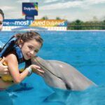 Actividades que hacer en Playa del Carmen: Nado con Delfines y Club de Playa Maroma actividades para hacer en playa del carmen