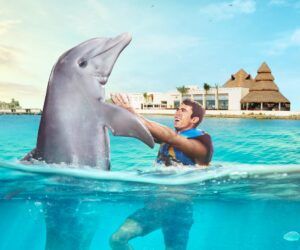 Actividades en Cozumel que no te puedes perder este 2025