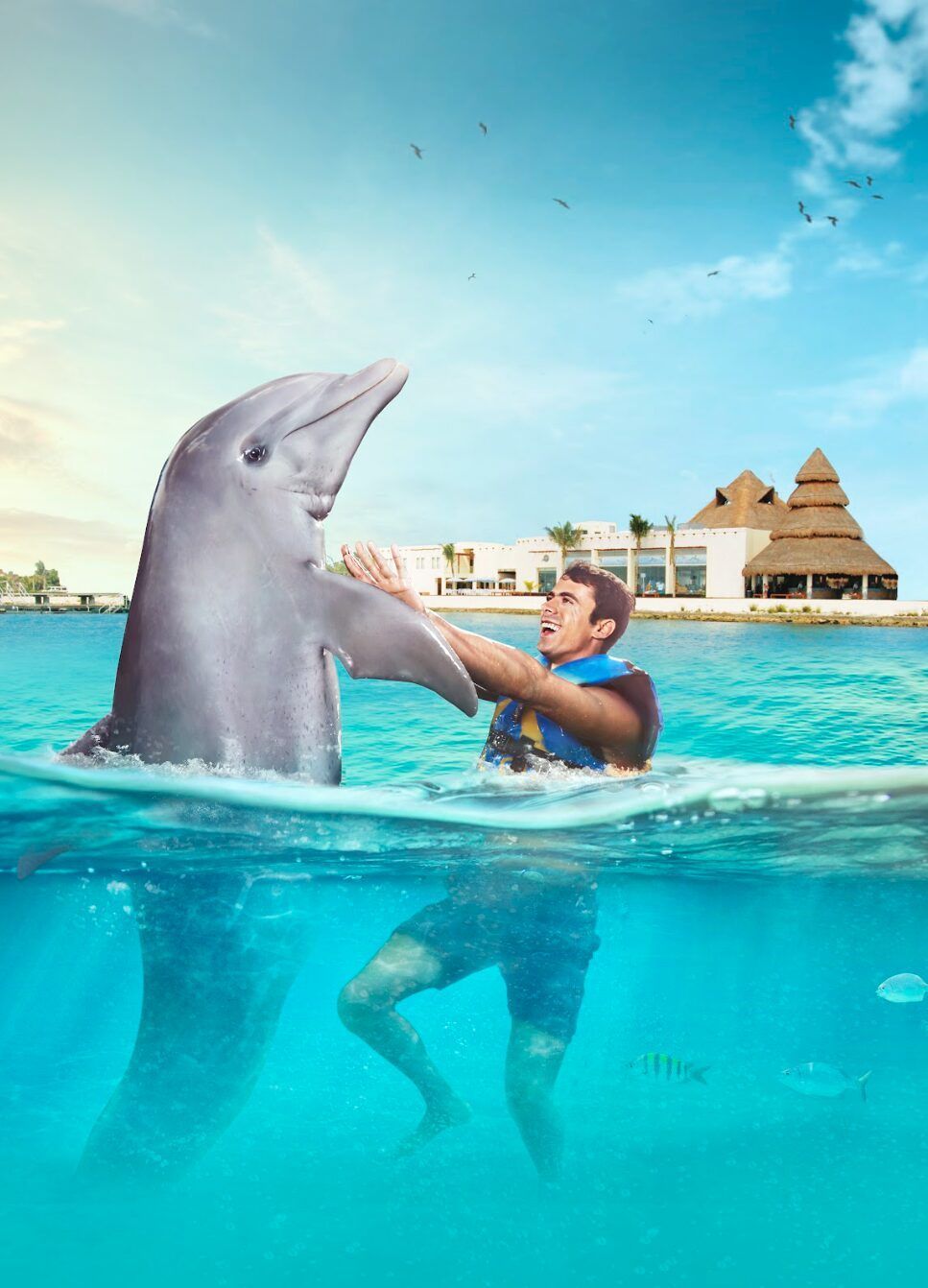 Actividades en Cozumel que no te puedes perder este 2025 3 cHVibHMzMTI1NjJvcmRlcmltZ3NlbGZzZXJ2aWNl