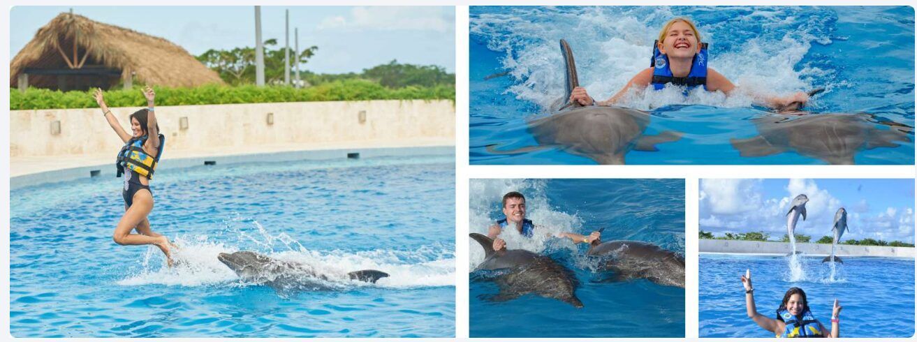¿Dónde Nadar con Delfines en Punta Cana? Downtown es tu Mejor Opción 4 nado con deflines todo incluido punta cana