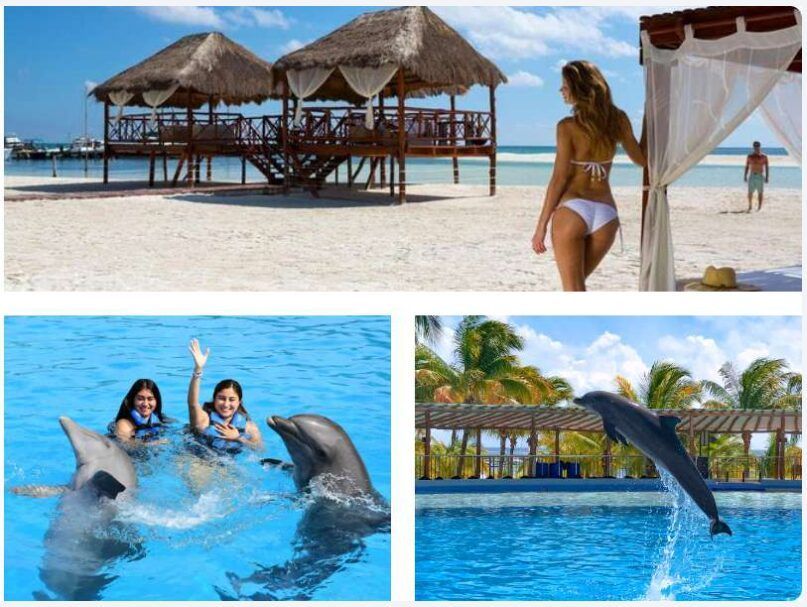 Actividades que hacer en Playa del Carmen: Nado con Delfines y Club de Playa Maroma 3 nado con delfines en playa del carmen
