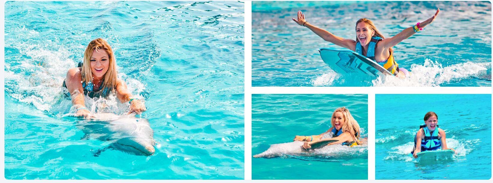 ¿Qué hacer en Isla Mujeres? Las mejores actividades para toda la familia 3 nado con delfines isla mujeres