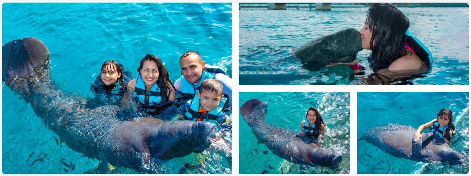 Actividades en Cozumel que no te puedes perder este 2025 5 nado con manatis en Cozumel
