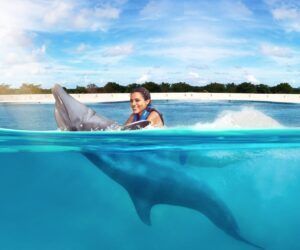 ¿Dónde Nadar con Delfines en Punta Cana? Downtown es tu Mejor Opción
